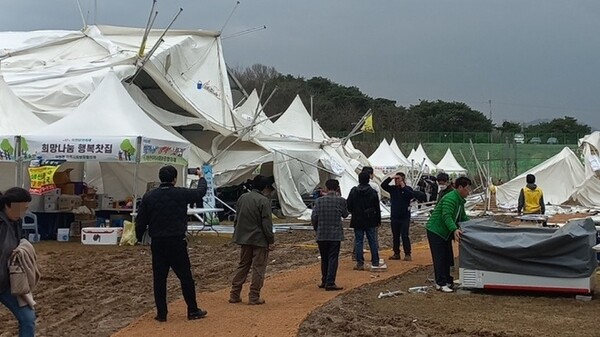 옥천묘목축제장 행사장 텐트가 바람에 날려 방문객이 다쳤다.